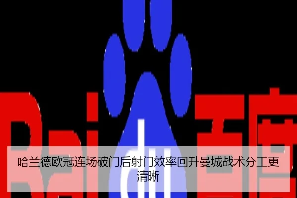哈兰德欧冠连场破门后射门效率回升曼城战术分工更清晰