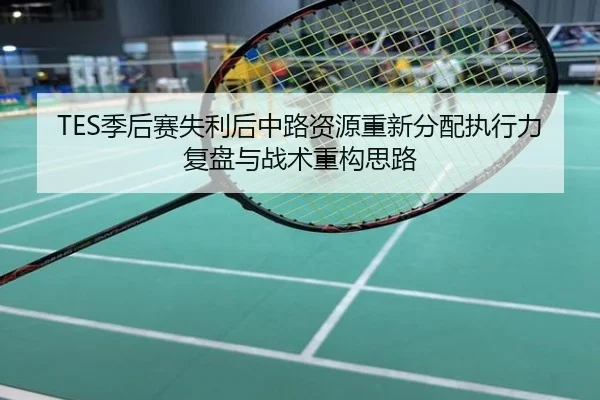 TES季后赛失利后中路资源重新分配执行力复盘与战术重构思路
